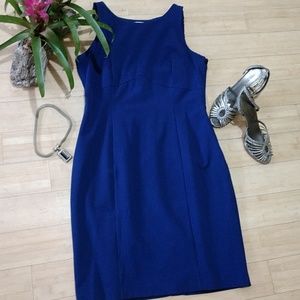 Worthington beautiful blue sheath dress with black